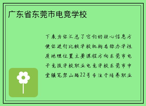 广东省东莞市电竞学校